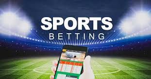 Exploring Online Casinos That Offer Multi-Game Jackpots 25